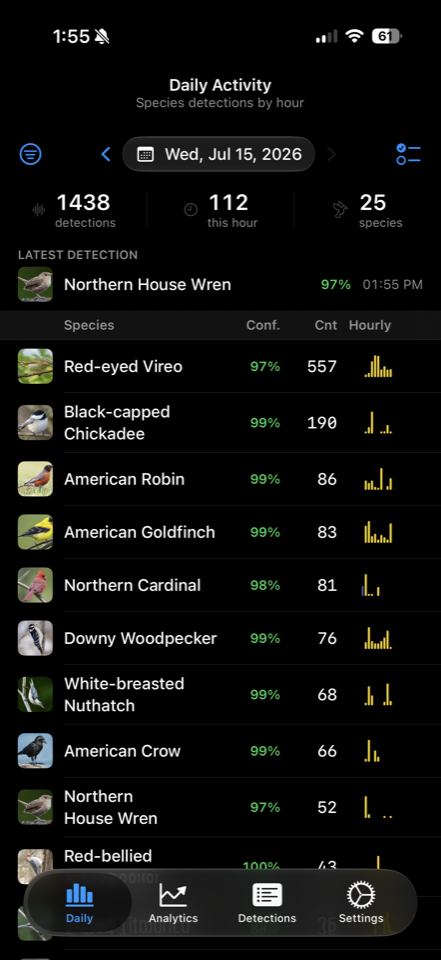 Daily Activity list of today's species with detection counts and hourly sparklines
